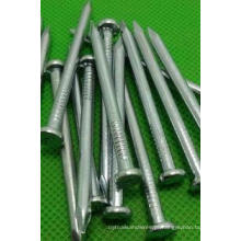 Preço competitivo Customized Galvanized Concrete Nail